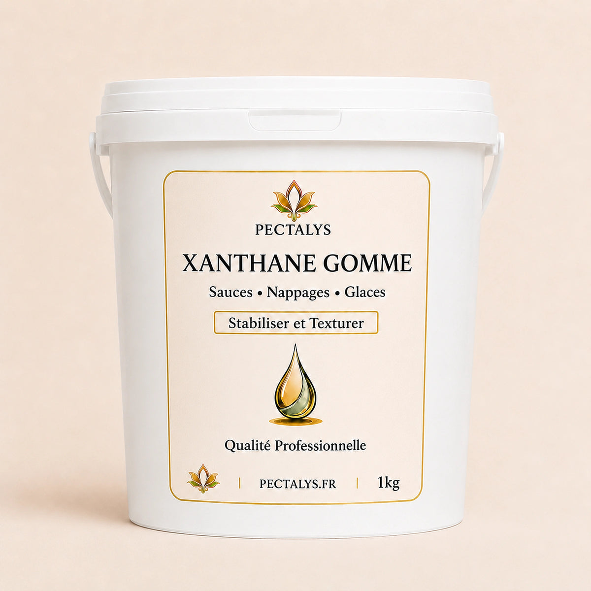 Gomme de xanthane - 1kg