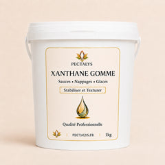 Gomme de xanthane - 1kg