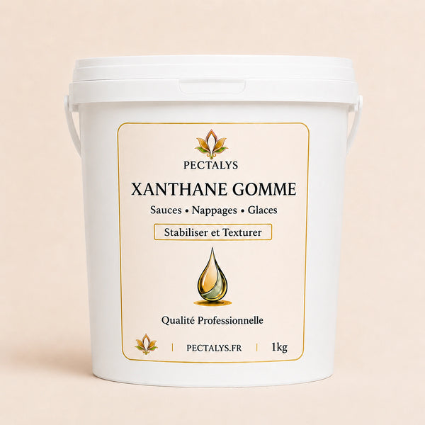 Gomme de xanthane - 1kg