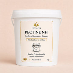 Pectine NH Nappage Pectalys 1 kg – format professionnel en seau alimentaire