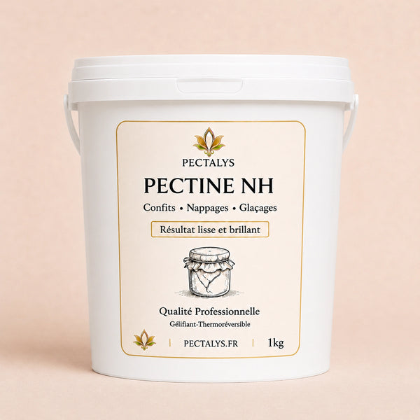 Pectine NH Nappage Pectalys 1 kg – format professionnel en seau alimentaire